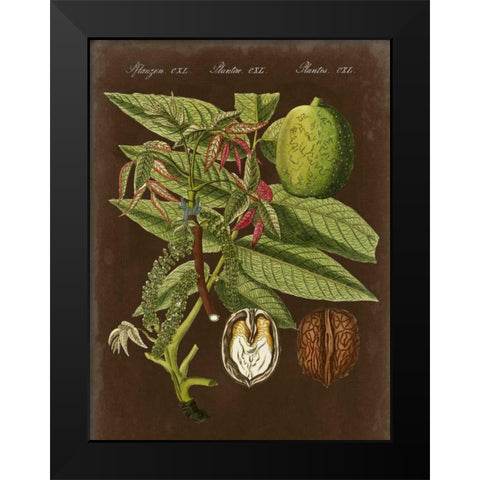 Walnut on Suede Black Modern Wood Framed Art Print by Vision Studio