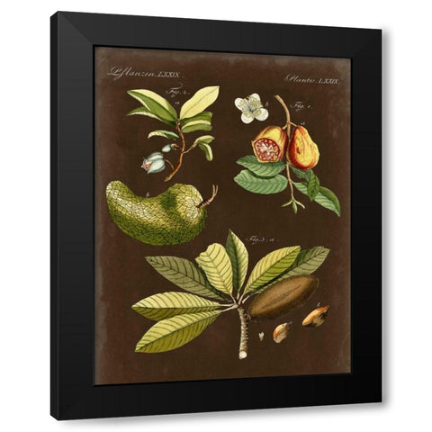 Breadfruit on Suede Black Modern Wood Framed Art Print by Vision Studio