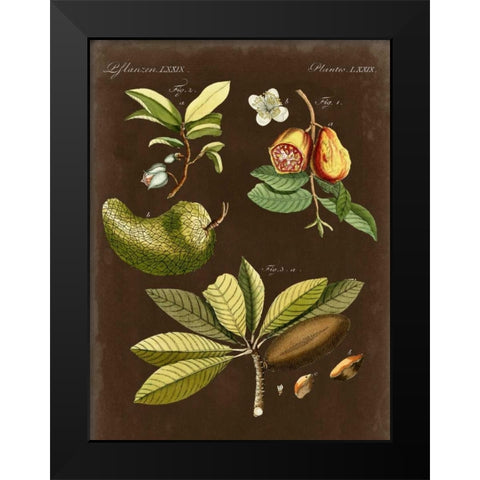 Breadfruit on Suede Black Modern Wood Framed Art Print by Vision Studio