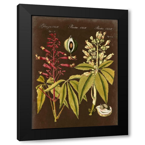 Buckeye on Suede Black Modern Wood Framed Art Print with Double Matting by Vision Studio