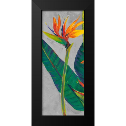 Bird of Paradise Triptych I Black Modern Wood Framed Art Print by OToole, Tim