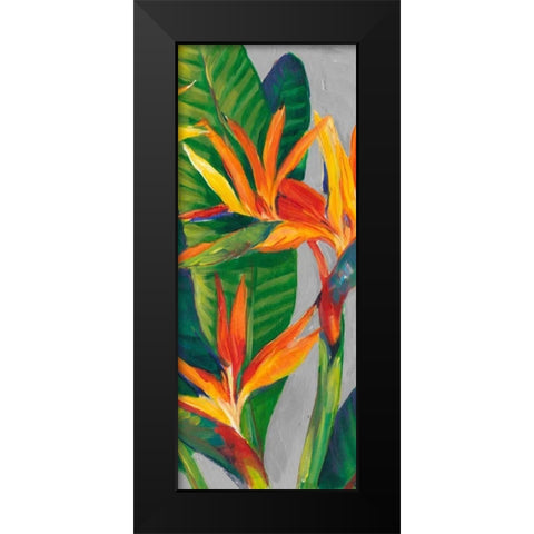 Bird of Paradise Triptych II Black Modern Wood Framed Art Print by OToole, Tim