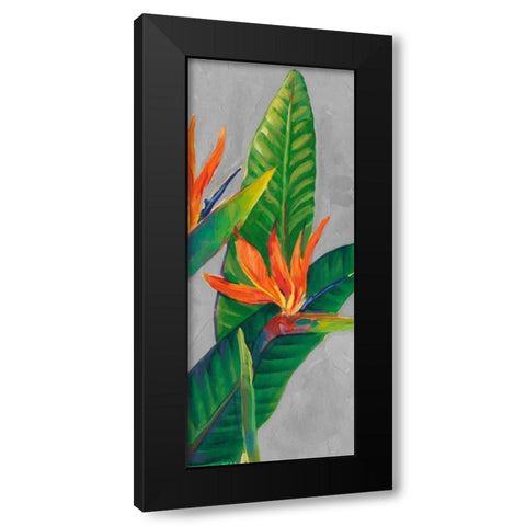 Bird of Paradise Triptych III Black Modern Wood Framed Art Print by OToole, Tim