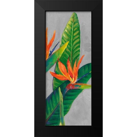 Bird of Paradise Triptych III Black Modern Wood Framed Art Print by OToole, Tim