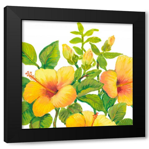 Watercolor Hibiscus I Black Modern Wood Framed Art Print with Double Matting by OToole, Tim