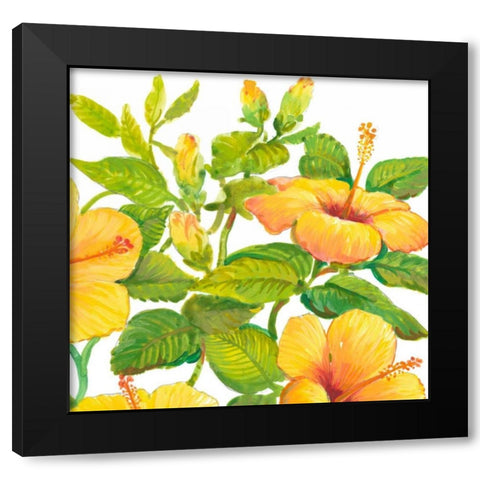 Watercolor Hibiscus II Black Modern Wood Framed Art Print with Double Matting by OToole, Tim