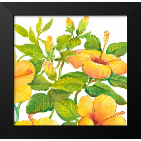 Watercolor Hibiscus II Black Modern Wood Framed Art Print by OToole, Tim