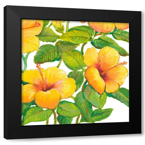 Watercolor Hibiscus IV Black Modern Wood Framed Art Print with Double Matting by OToole, Tim