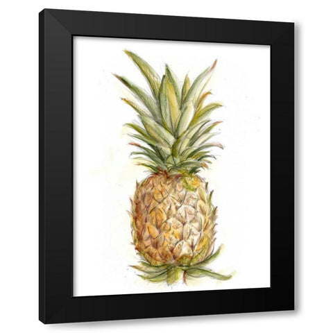 Pineapple Sketch II Black Modern Wood Framed Art Print with Double Matting by Harper, Ethan