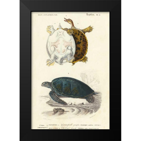 Antique Turtle Duo I Black Modern Wood Framed Art Print by Oudart