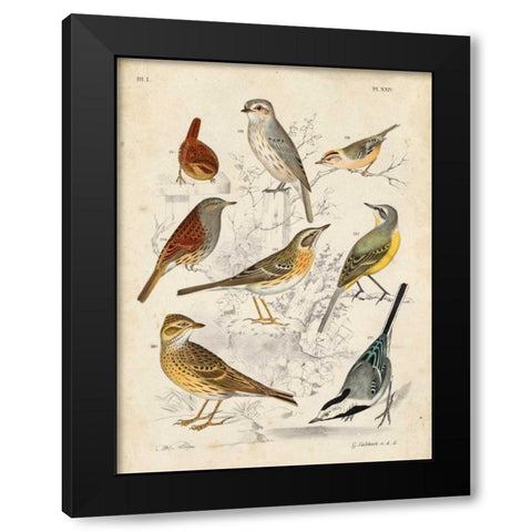 Gathering of Birds I Black Modern Wood Framed Art Print by Lubbert, G.