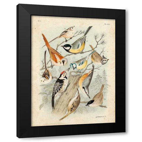 Gathering of Birds II Black Modern Wood Framed Art Print by Lubbert, G.
