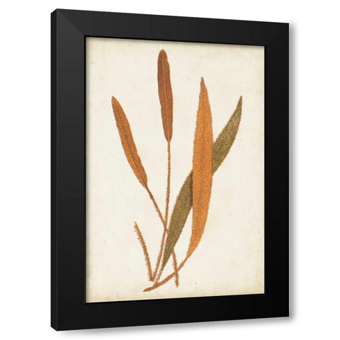 Fern Family VI Black Modern Wood Framed Art Print by Lowe