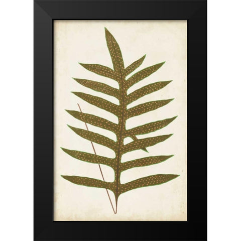 Fern Family VIII Black Modern Wood Framed Art Print by Lowe