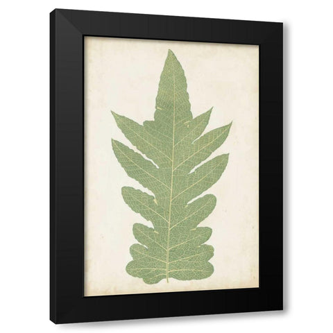 Fern Family IX Black Modern Wood Framed Art Print by Lowe