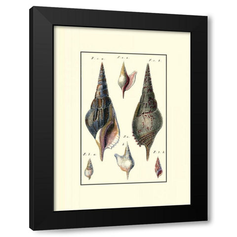 Custom Sea Shell III Black Modern Wood Framed Art Print by Diderot