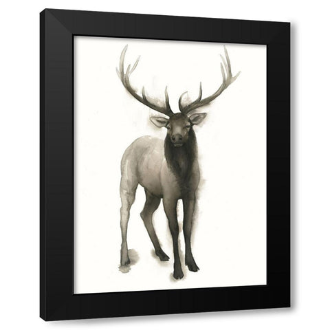 Custom Majestic Wildlife II (ASH) Black Modern Wood Framed Art Print with Double Matting by Popp, Grace