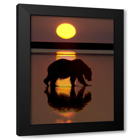 32x24 Bears at Play I (ASH) Black Modern Wood Framed Art Print with Double Matting by PHBurchett