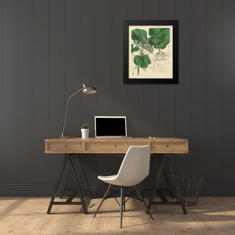 Curtis Leaves and Blooms I Black Modern Wood Framed Art Print by Curtis
