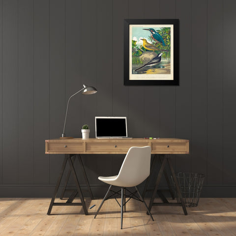 King-fisher and Wagtails Black Modern Wood Framed Art Print by Cassell