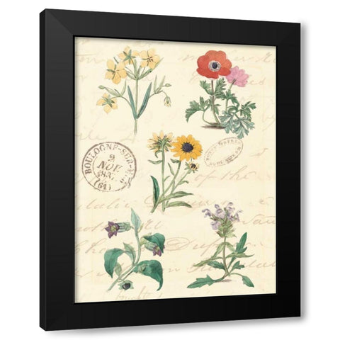 Botanical Journal IV Black Modern Wood Framed Art Print with Double Matting by Vision Studio