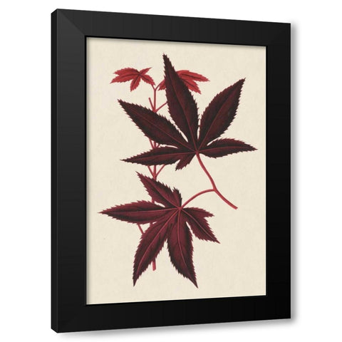 Japanese Maple Leaves I Black Modern Wood Framed Art Print by Stroobant