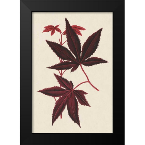Japanese Maple Leaves I Black Modern Wood Framed Art Print by Stroobant