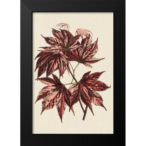 Japanese Maple Leaves II Black Modern Wood Framed Art Print by Stroobant