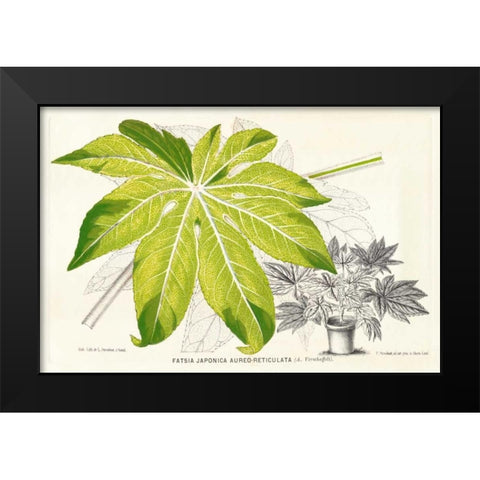 Fern Leaf Foliage I Black Modern Wood Framed Art Print by Stroobant
