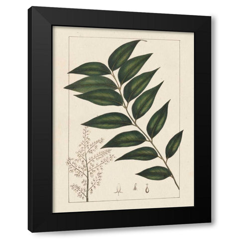 Silva Leaves III Black Modern Wood Framed Art Print by Silva, John