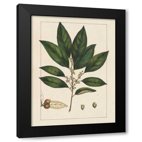 Silva Leaves IV Black Modern Wood Framed Art Print by Silva, John