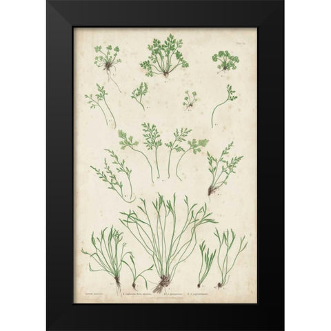 Bradbury Ferns I Black Modern Wood Framed Art Print by Bradbury