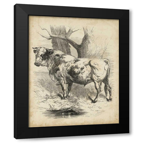 Pastoral Sketch II Black Modern Wood Framed Art Print by Unknown