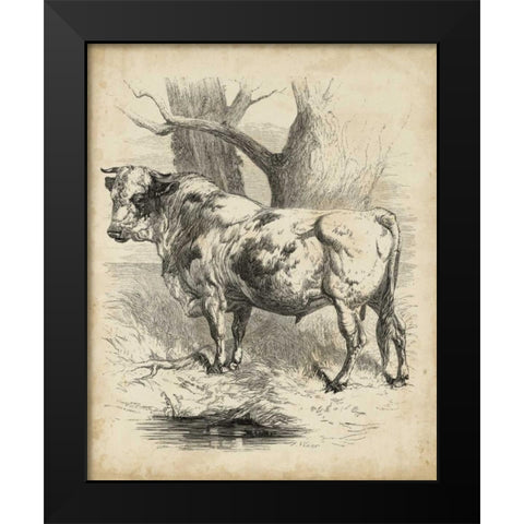 Pastoral Sketch II Black Modern Wood Framed Art Print by Unknown