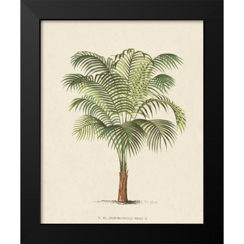 Les Palmiers II Black Modern Wood Framed Art Print by Unknown