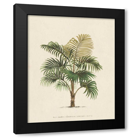 Les Palmiers IV Black Modern Wood Framed Art Print by Unknown
