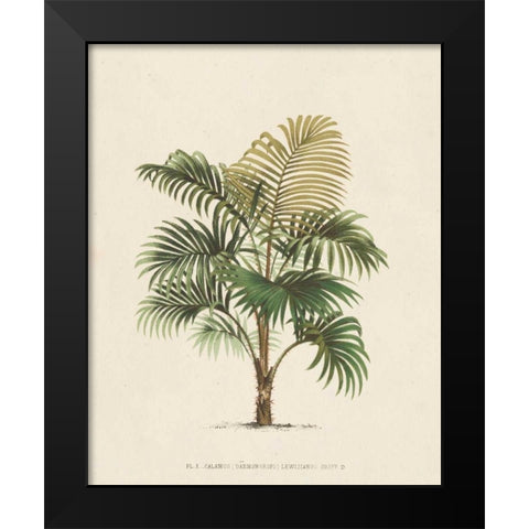 Les Palmiers IV Black Modern Wood Framed Art Print by Unknown