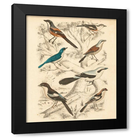 Avian Habitat V Black Modern Wood Framed Art Print by Milne