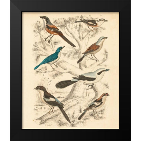 Avian Habitat V Black Modern Wood Framed Art Print by Milne
