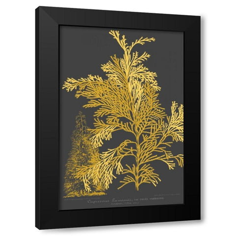 Trees and Leaves I Black Modern Wood Framed Art Print with Double Matting by Vision Studio