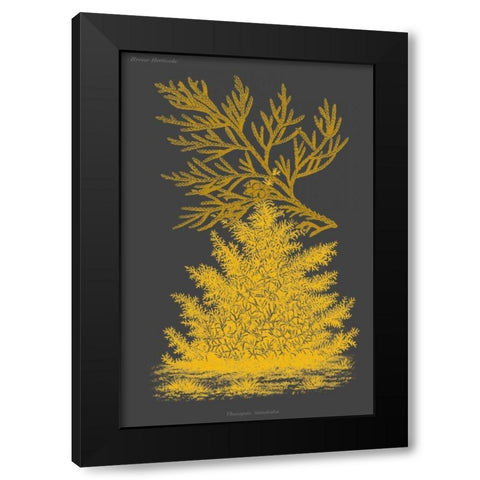 Trees and Leaves II Black Modern Wood Framed Art Print by Vision Studio