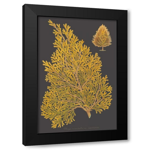 Trees and Leaves III Black Modern Wood Framed Art Print with Double Matting by Vision Studio