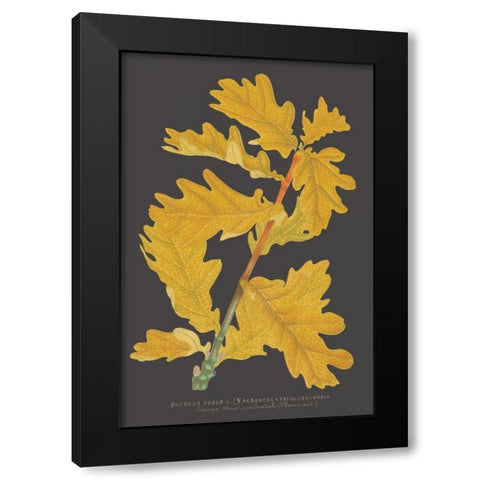 Trees and Leaves IV Black Modern Wood Framed Art Print by Vision Studio