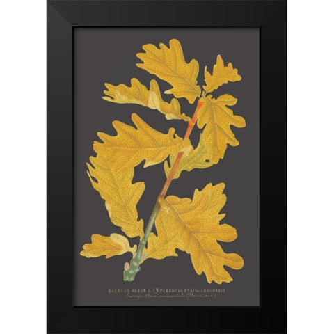 Trees and Leaves IV Black Modern Wood Framed Art Print by Vision Studio