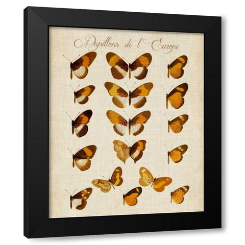 Papillons de LEurope I Black Modern Wood Framed Art Print with Double Matting by Vision Studio