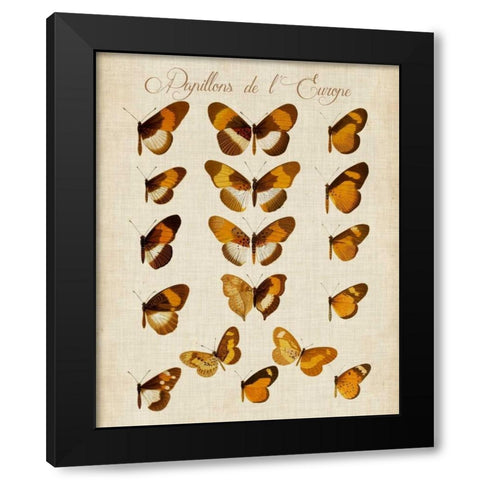 Papillons de LEurope I Black Modern Wood Framed Art Print by Vision Studio