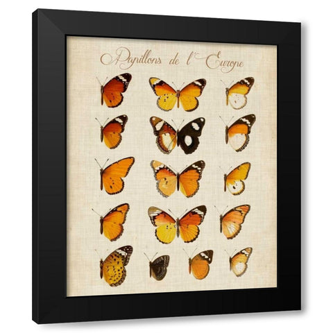 Papillons de LEurope II Black Modern Wood Framed Art Print by Vision Studio