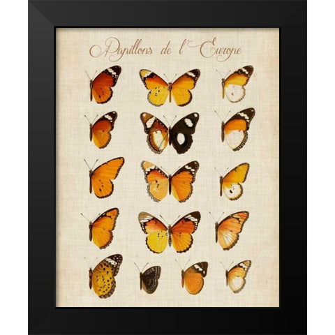 Papillons de LEurope II Black Modern Wood Framed Art Print by Vision Studio