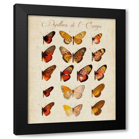 Papillons de LEurope III Black Modern Wood Framed Art Print with Double Matting by Vision Studio