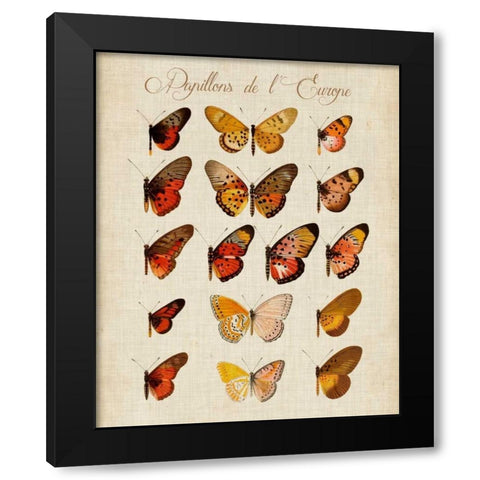 Papillons de LEurope III Black Modern Wood Framed Art Print by Vision Studio